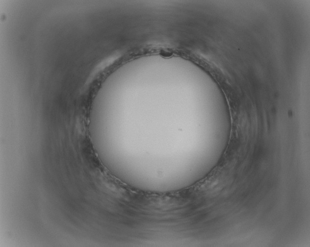 X0000074311207200609081934