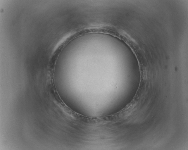 X0000074311208200609081934