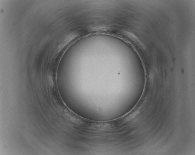 X0000074311209200609081934