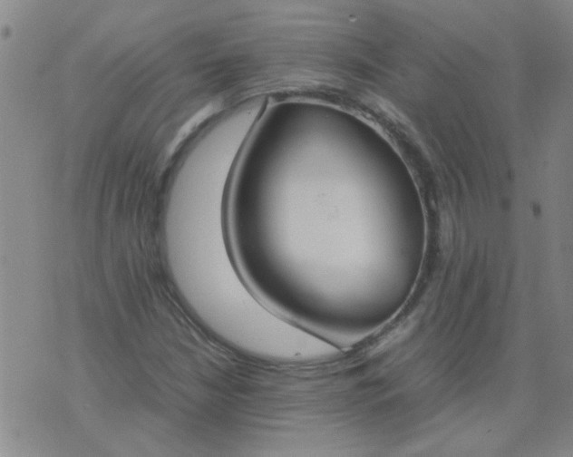 X0000074311210200609081934