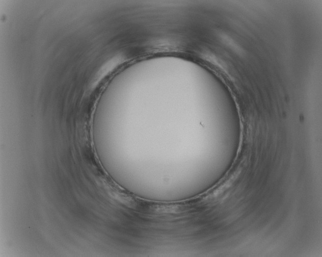 X0000074311211200609081934