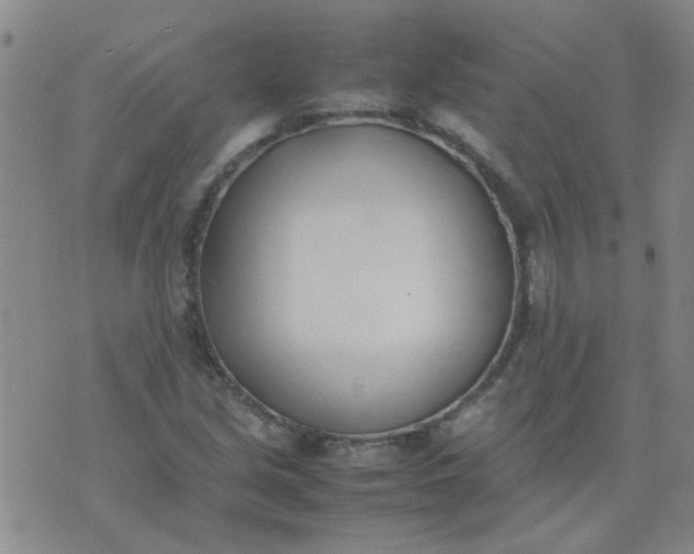 X0000074311213200609081934