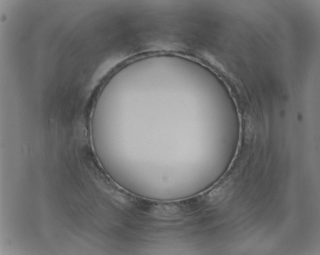 X0000074311215200609081934