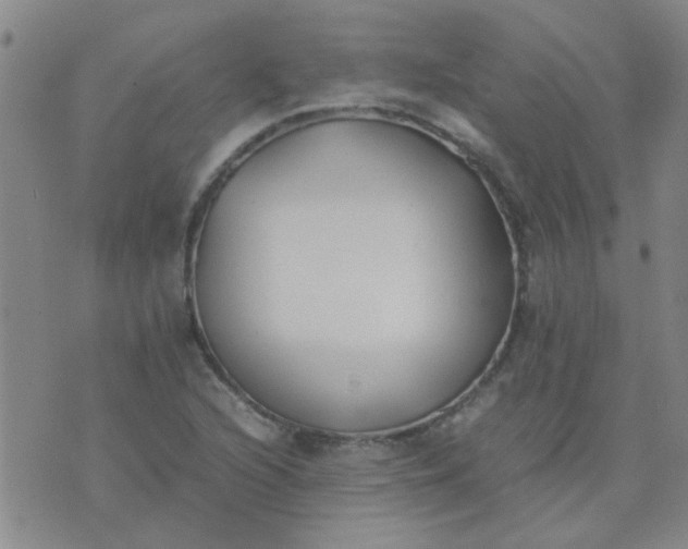 X0000074311216200609081934