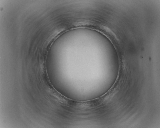 X0000074311217200609081934