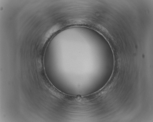 X0000074311218200609081934