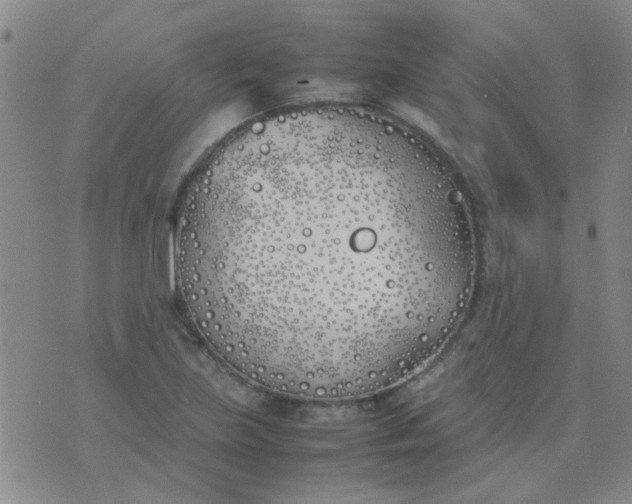 X0000074311219200609081934