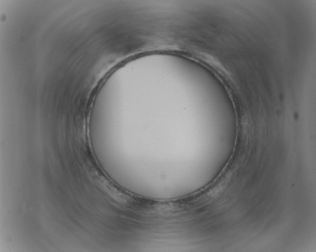 X0000074311220200609081934