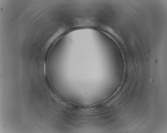 X0000074311221200609081934