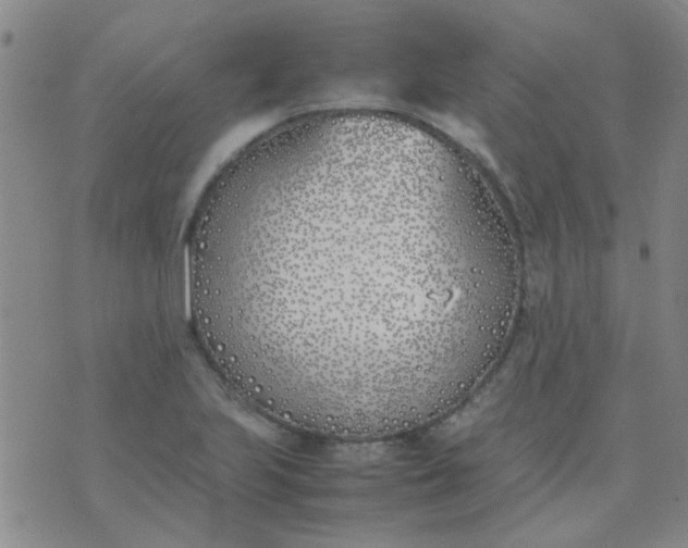 X0000074311223200609081934