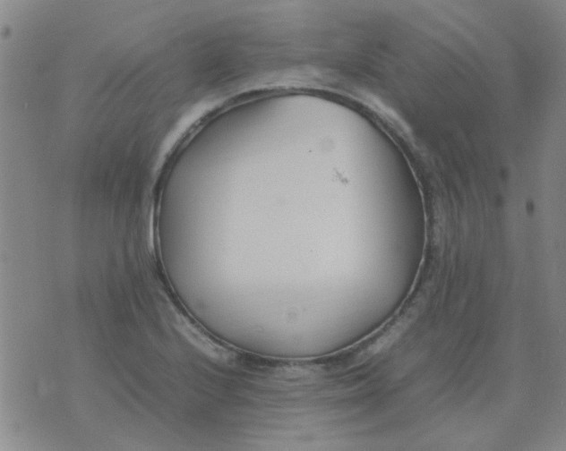 X0000074311224200609081934