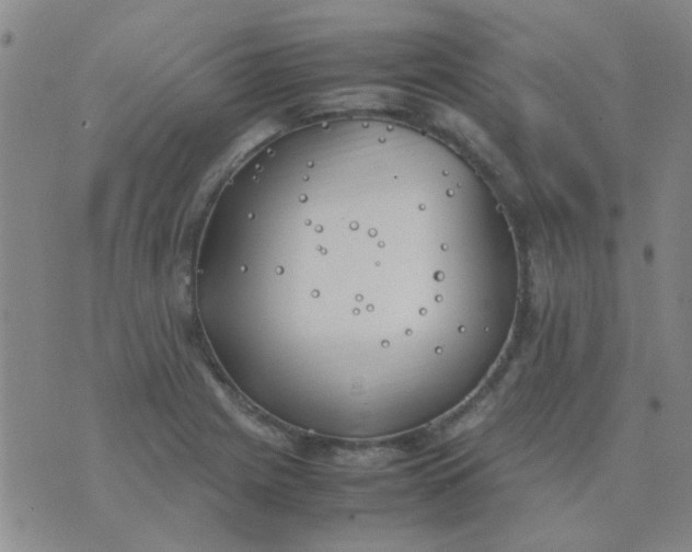 X0000074311225200609081934