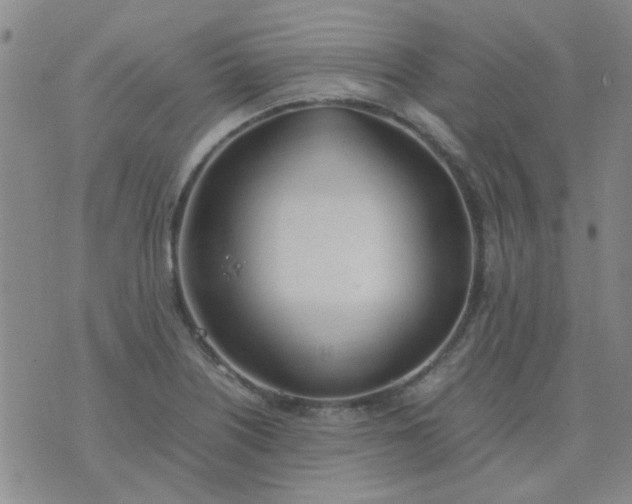 X0000074311226200609081934