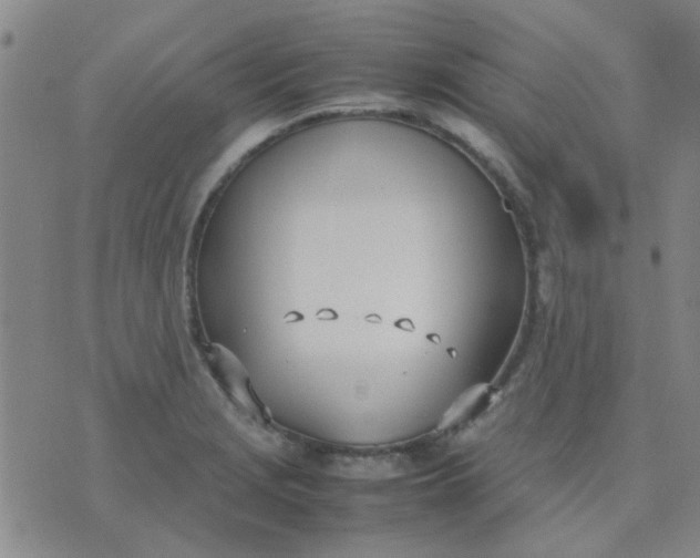 X0000074311229200609081934