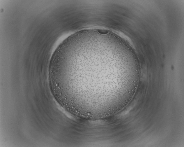 X0000074311231200609081934