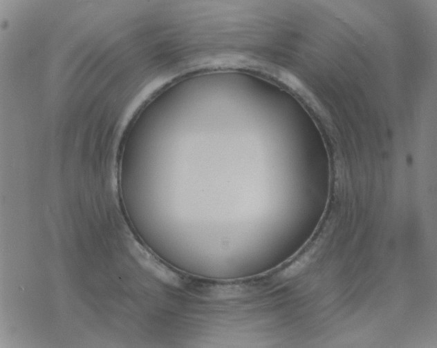 X0000074311232200609081934