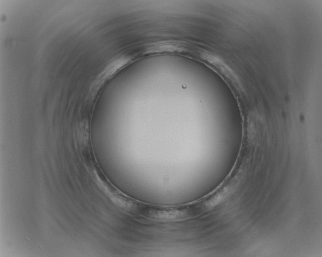 X0000074311233200609081934