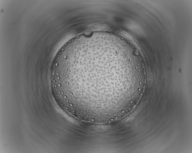 X0000074311235200609081934