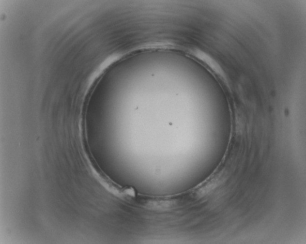 X0000074311237200609081934