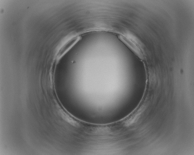 X0000074311238200609081934