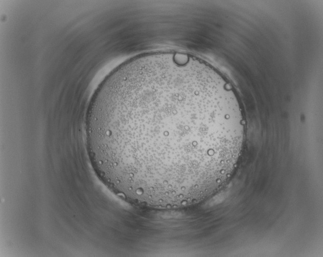 X0000074311239200609081934