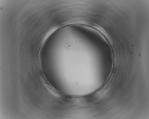 X0000074311242200609081934