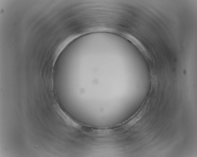 X0000074311244200609081934