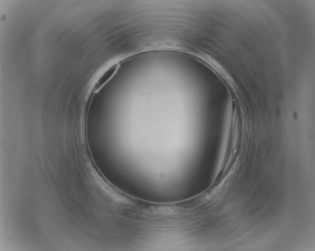 X0000074311246200609081934