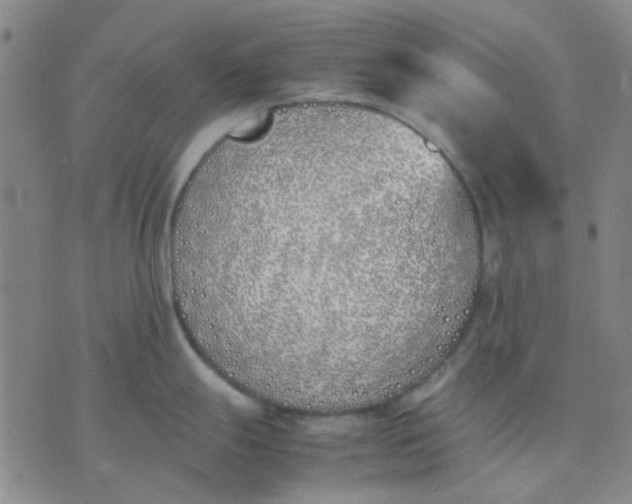 X0000074311247200609081934