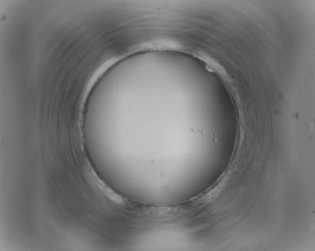 X0000074311248200609081934