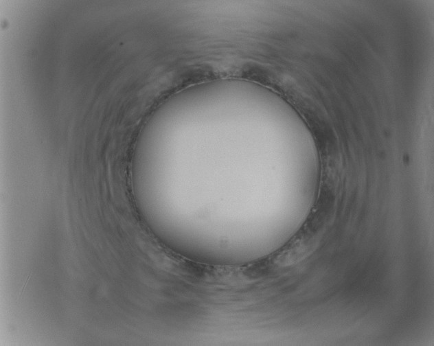 X0000074311249200609081933