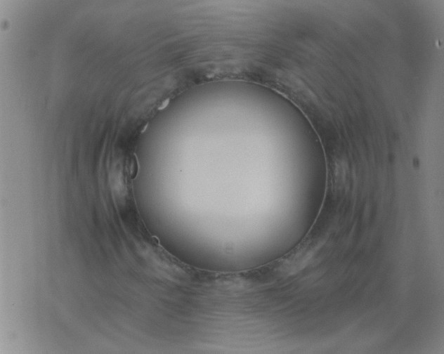 X0000074311250200609081933