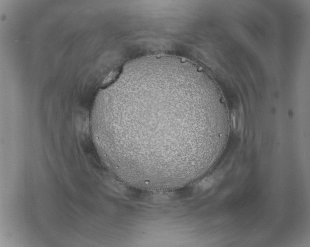 X0000074311251200609081933