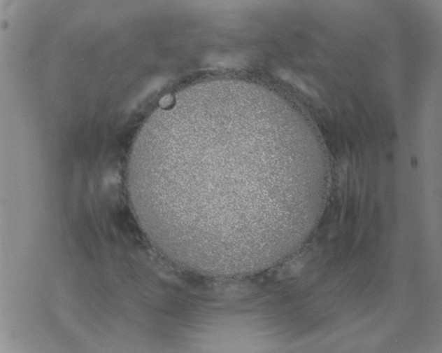 X0000074311254200609081933