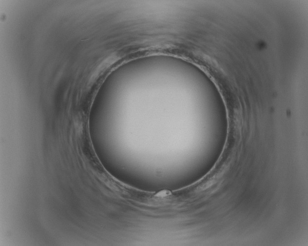 X0000074311257200609081933