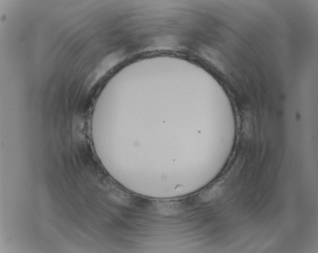 X0000074311258200609081933