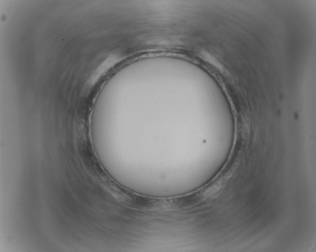 X0000074311259200609081933