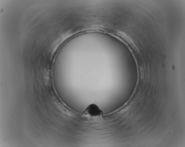 X0000074311260200609081933