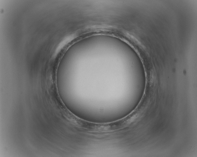 X0000074311261200609081933