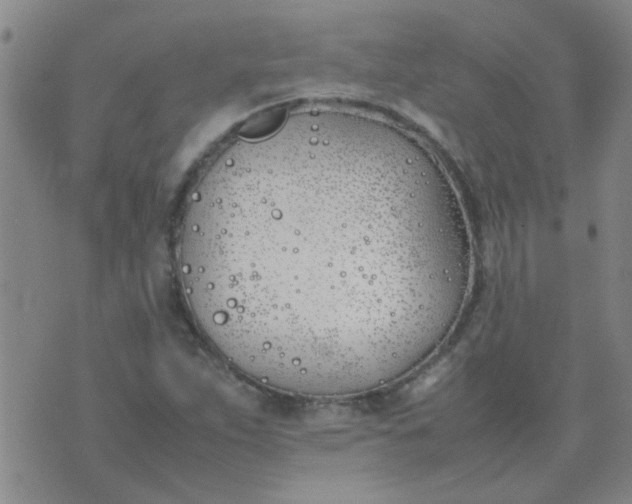 X0000074311263200609081933