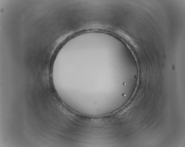 X0000074311264200609081933