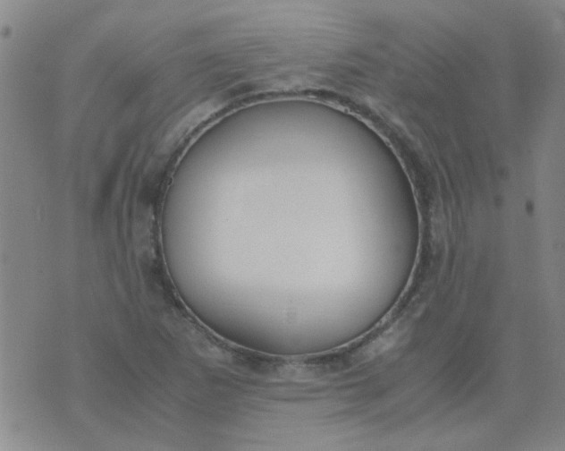 X0000074311265200609081933