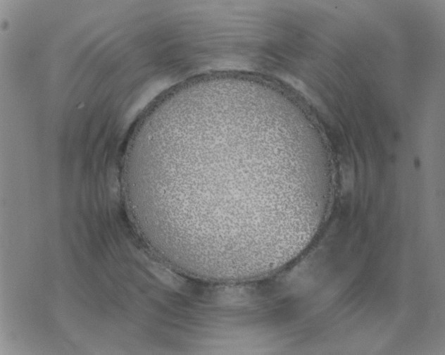 X0000074311266200609081933