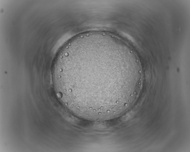 X0000074311267200609081933