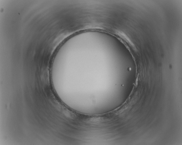 X0000074311268200609081933