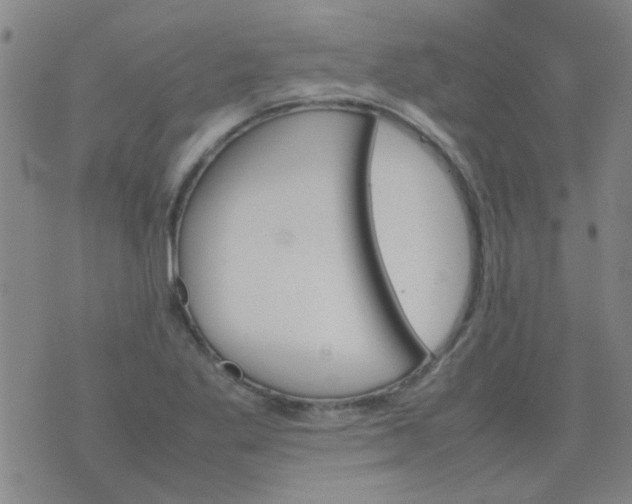 X0000074311269200609081933