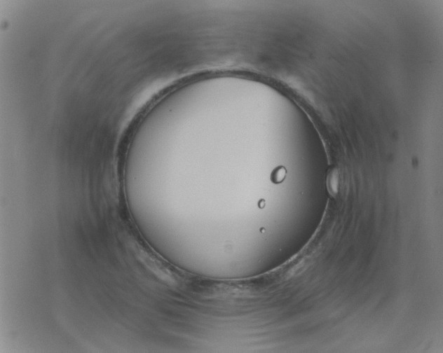 X0000074311270200609081933