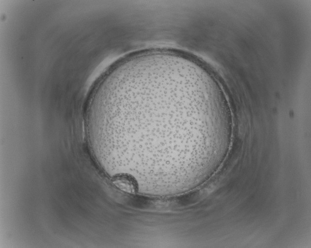 X0000074311271200609081933