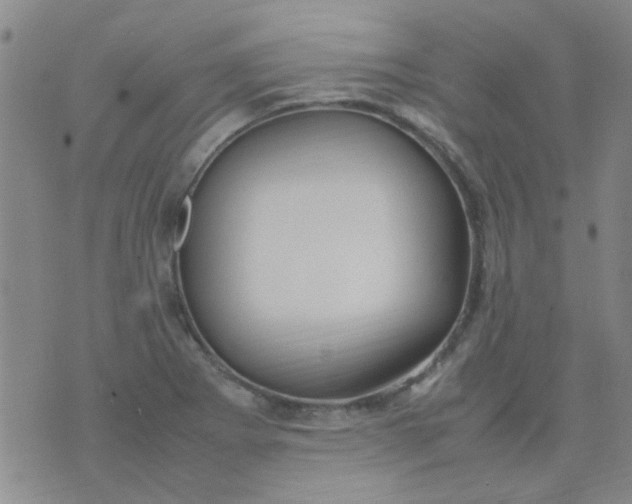 X0000074311273200609081933