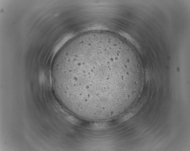 X0000074311274200609081933